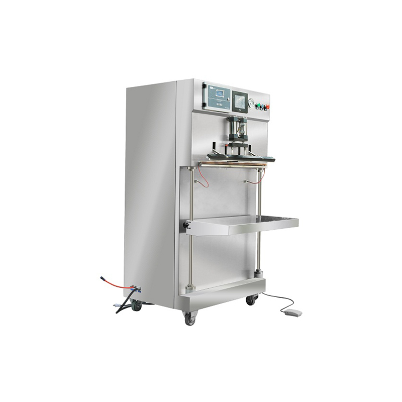 袋式氣調(diào)包裝機(jī)HP-600Q